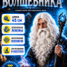 ПБ877 Парик и борода волшебника
